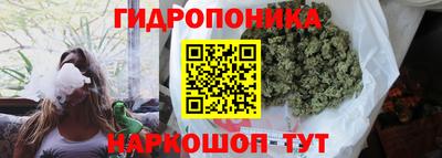 ГАЛЛЮЦИНОГЕННЫЕ ГРИБЫ Коммунар