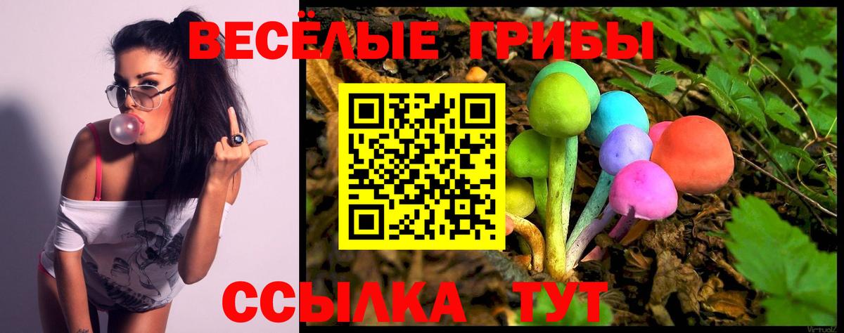 купить наркотики цена  Псилоцибиновые грибы Cubensis  Ханты-Мансийск  Вход с VPN  Псилоцибиновые грибы Cubensis 